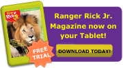 Now available on the Nook!